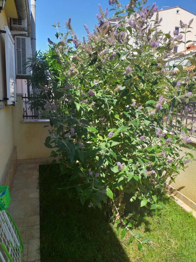 Apartman Vida Pula Zewnętrze zdjęcie