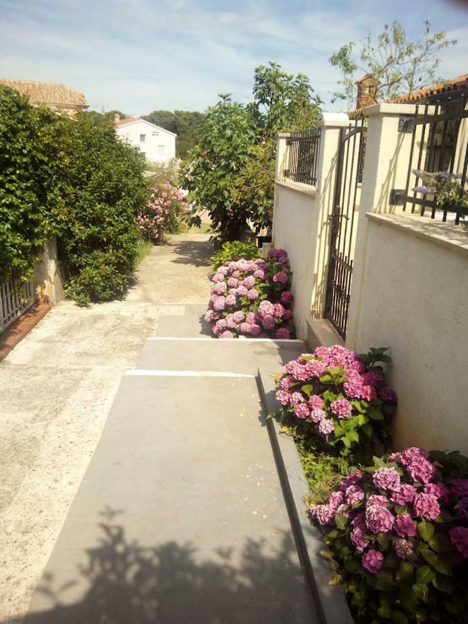 Apartman Vida Pula Zewnętrze zdjęcie